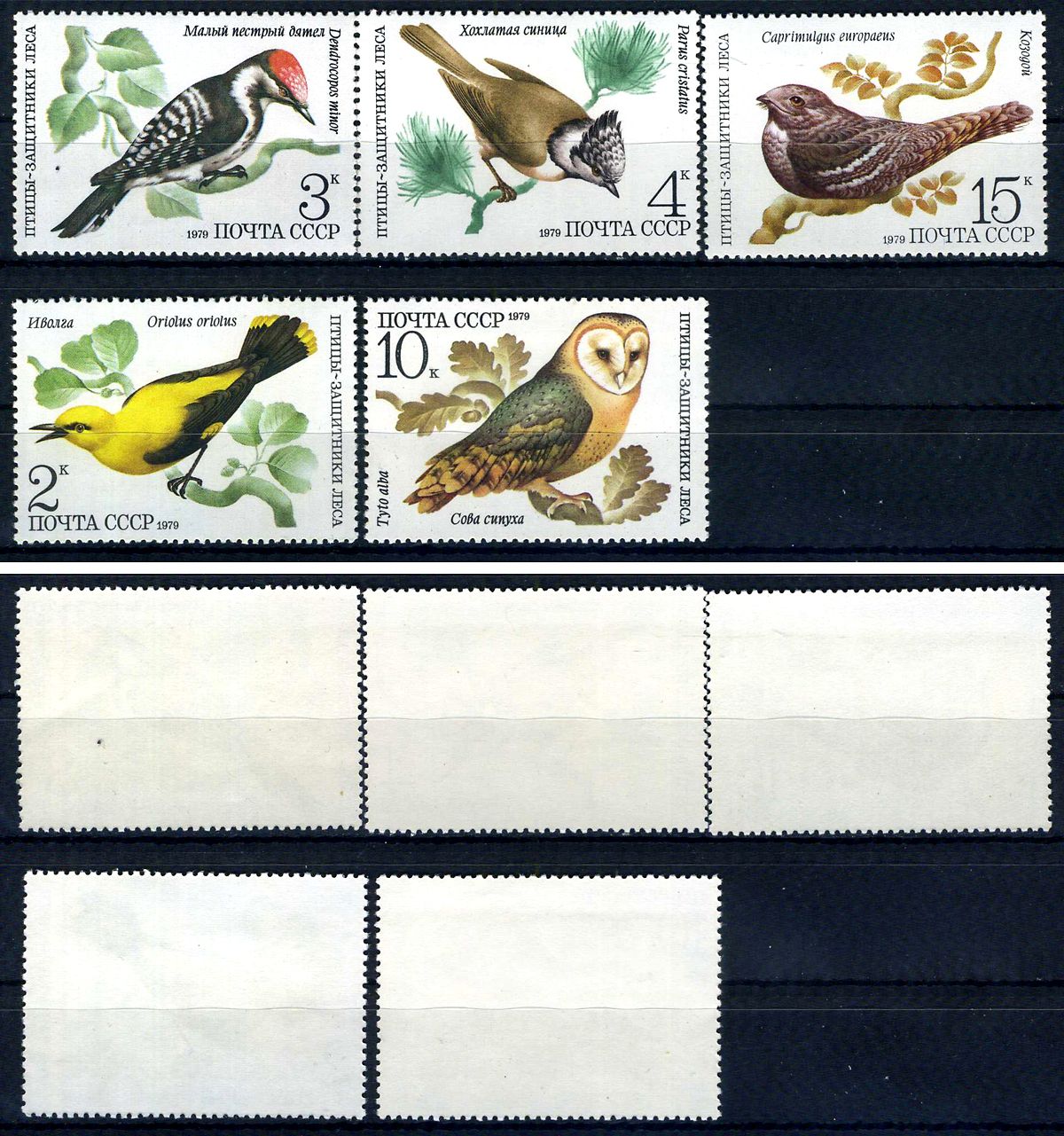 СССР набор из 5 марок (2, 3, 4, 10 и 15 копеек) 1979 Птицы - защитники леса - Иволга, Малый пестрый дятел, хохлатая синица, сова сипуха, козодой Загорский 4933, 4934, 4935, 4936 и 4347    марка с оригинальным клеем, без следов наклейки (чистая) 8707-4-4-3