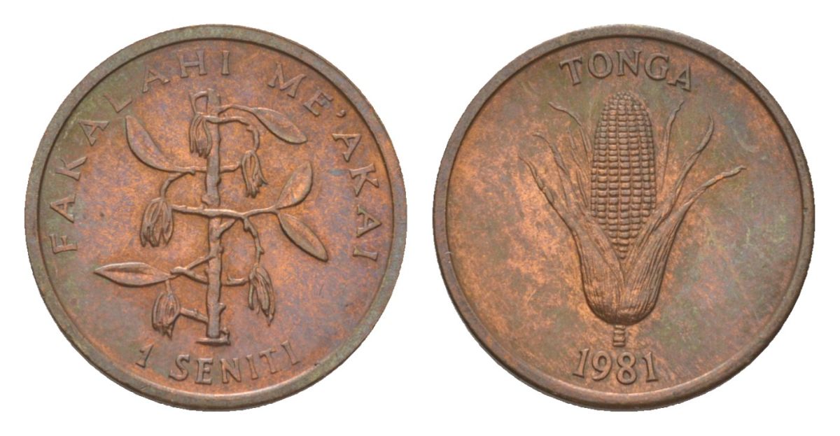 Тонга 1 сенити 1981 KM 66 бронза aUNC 4627-744