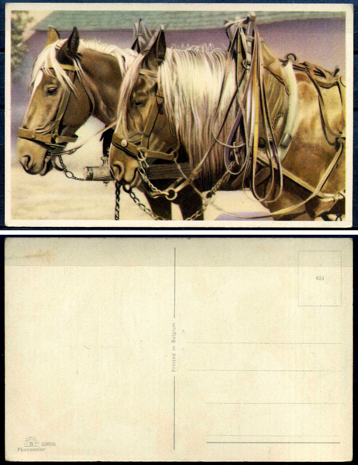 Бельгия открытка лошади 2193-71
