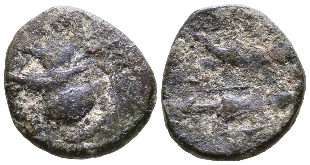 Македонское Царство АЕ 277-239 гг. до н.э. медь 270-111