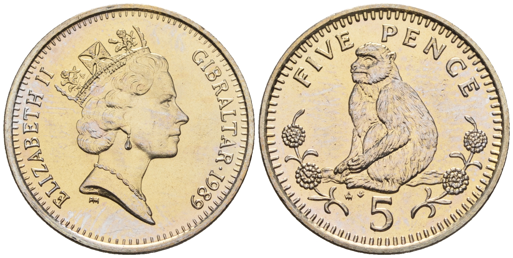 Гибралтар 5 пенсов 1989 АВ обезьяна KM 22 медно-никель UNC 87-532