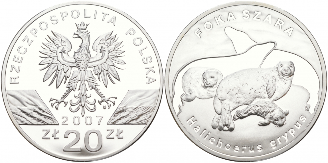 Польша 20 злотых 2007 серия сохраним наш мир, длинномордый тюлень KM 603 серебро PROOF 1091-2-24