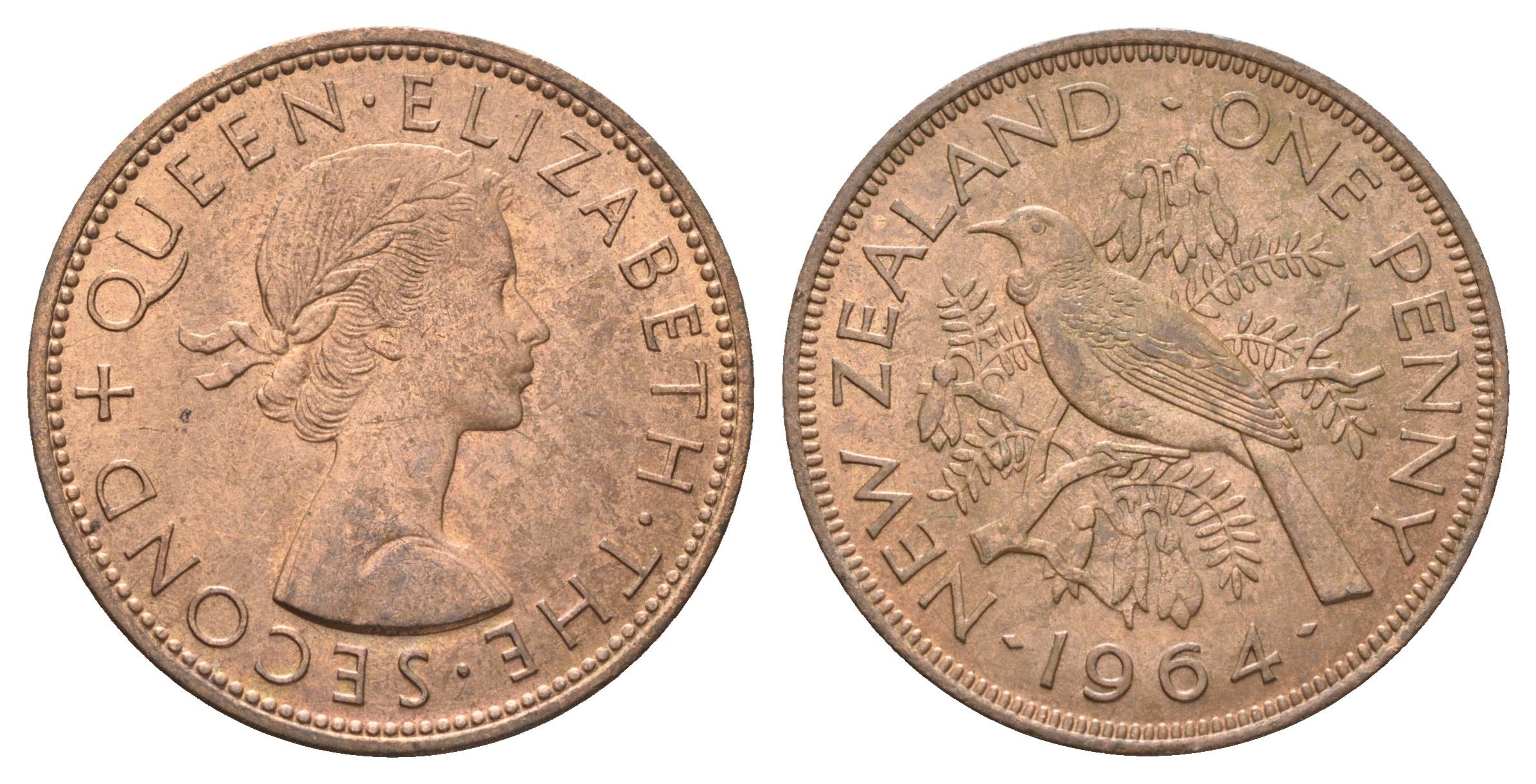 Новая Зеландия 1 пенни 1964 Елизавета II (1952-2022), новозеландский туи KM 24.2 бронза aUNC 4587-745