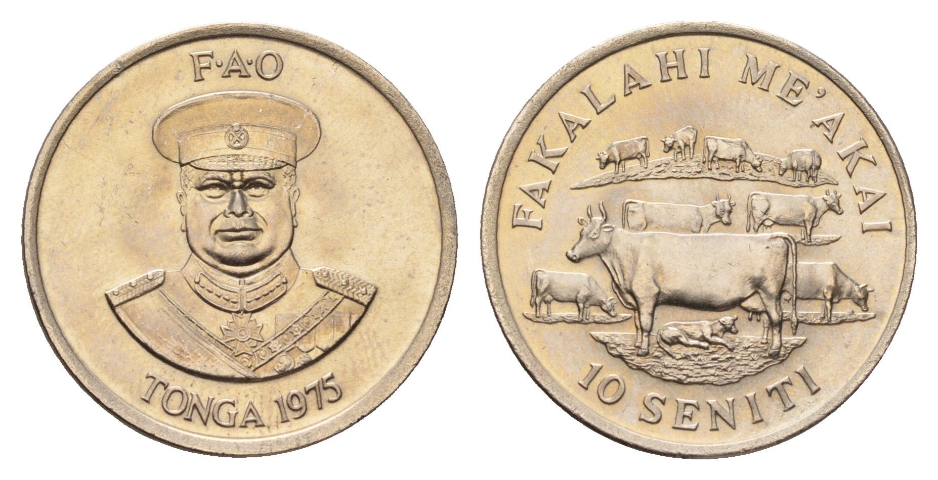 Тонга 10 сенити 1975 ФАО KM 45 медно-никель UNC 91-855