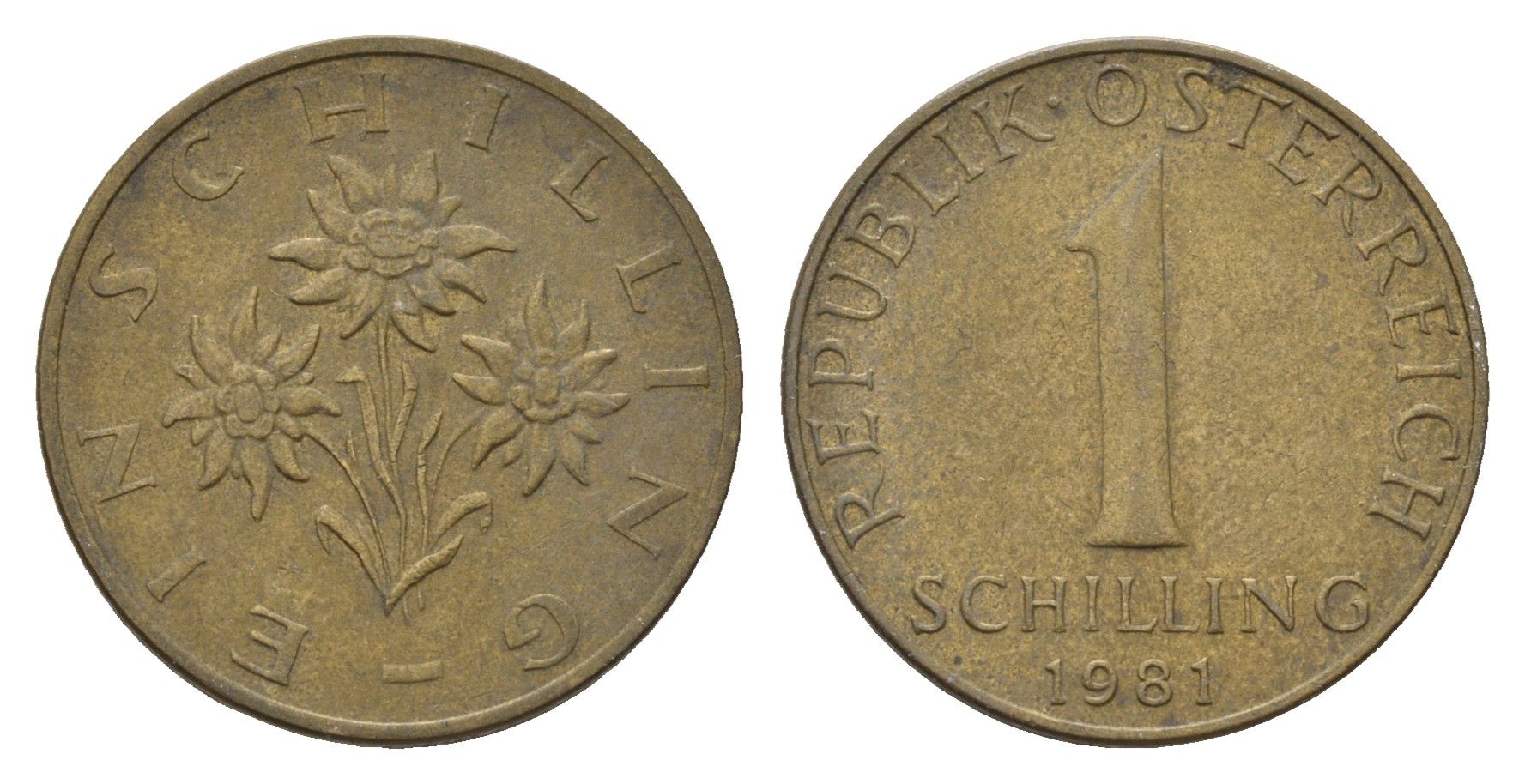 Австрия 1 шиллинг 1981 KM 2886 алюминиевая бронза 181-1133