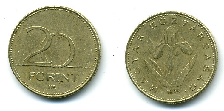 ВЕНГРИЯ 20 ФОРИНТОВ 1995 ВЕНГЕРСКИЙ ИРИС KM 696 никель латунь 25-846