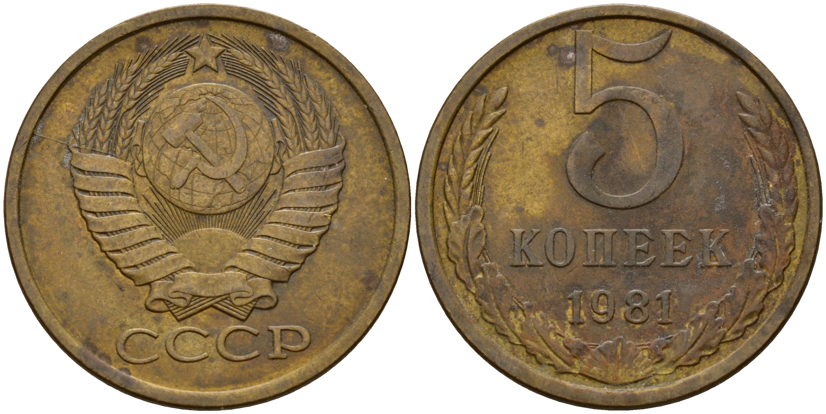 СССР 5 копеек 1981  KM 129 а, Федорин 132 алюминиевая бронза    4117-124