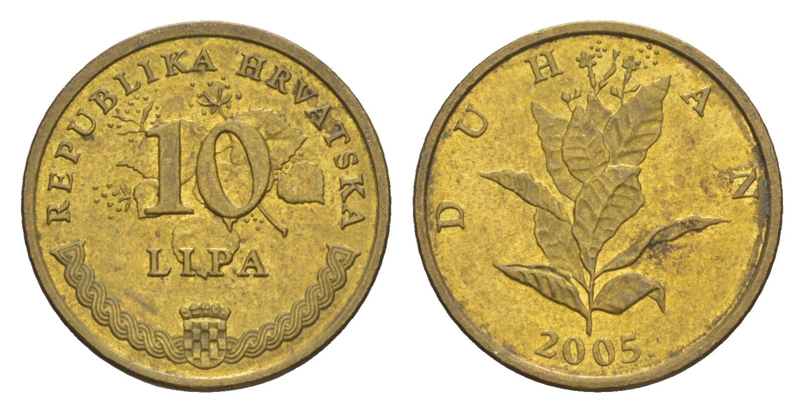 Хорватия 10 лип 2005 табак обыкновенный, нечетный год KM 6 сталь плакированная латунью UNC 3309-552