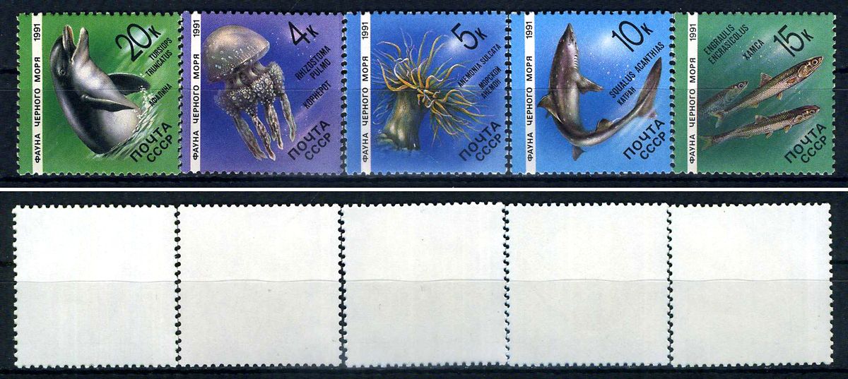 СССР набор из 5 марок (4, 6, 10, 15 и 20 копеек) 1991 Фауна Черного моря - медуза корнерот, морской анемон, колючая акула катран, хамса, дельфин афалина Загорский 6214, 6215, 6216, 6217 и 6218    марка с оригинальным клеем, без следов наклейки (чистая) 87
