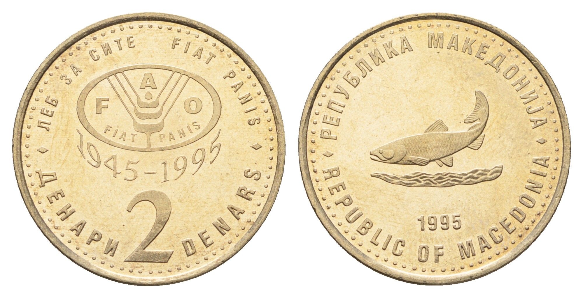 Македония 2 денара 1995 50 лет ФАО, серый цвет KM 6a медь цинк никель UNC 4699-136