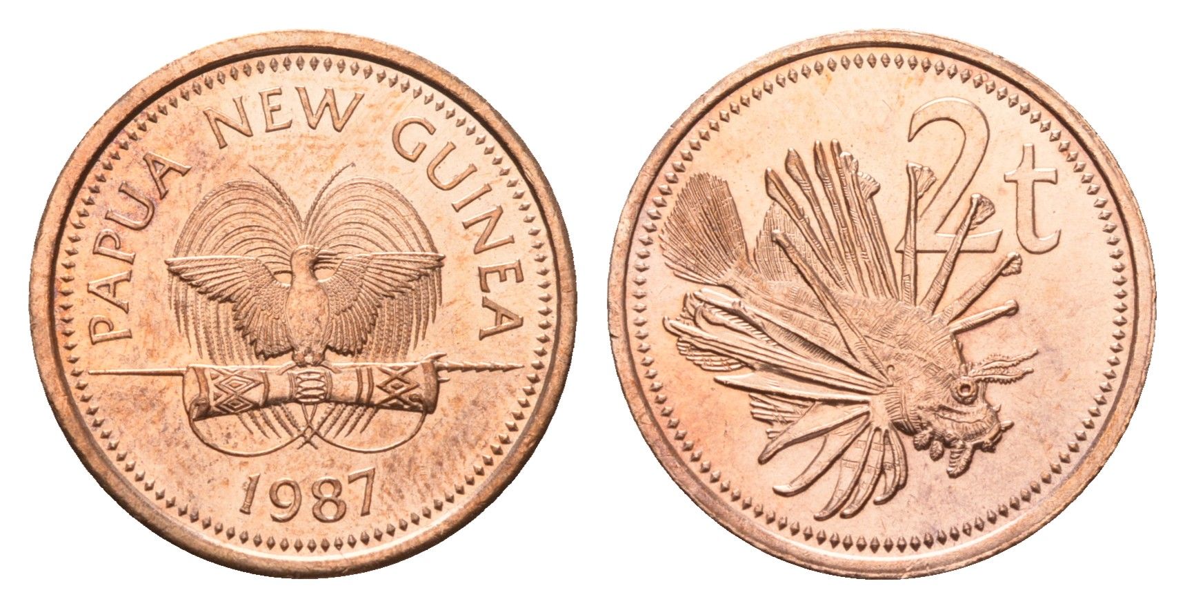 Папуа Новая Гвинея 2 тойя 1987 KM 2 бронза UNC 96-819