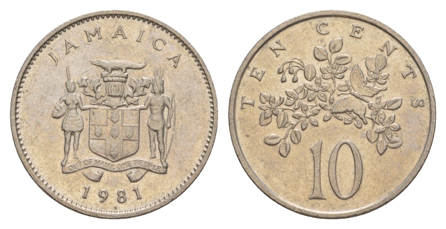 Ямайка 10 центов 1981 бабочка KM 47 медно-никель aUNC 4624-955