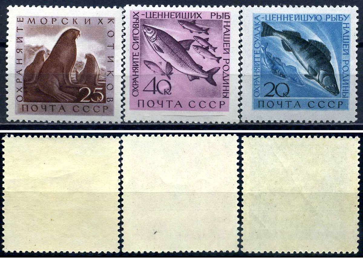 СССР набор из 3 марок (20, 25 и 40 копеек) 1960 Фауна СССР: Охрана ценных рыб и морских животных - Судак, Морские котики, Сиг Загорский 2382, 2383, 2384    марка с оригинальным клеем, без следов наклейки (чистая) 8707-1-7-3