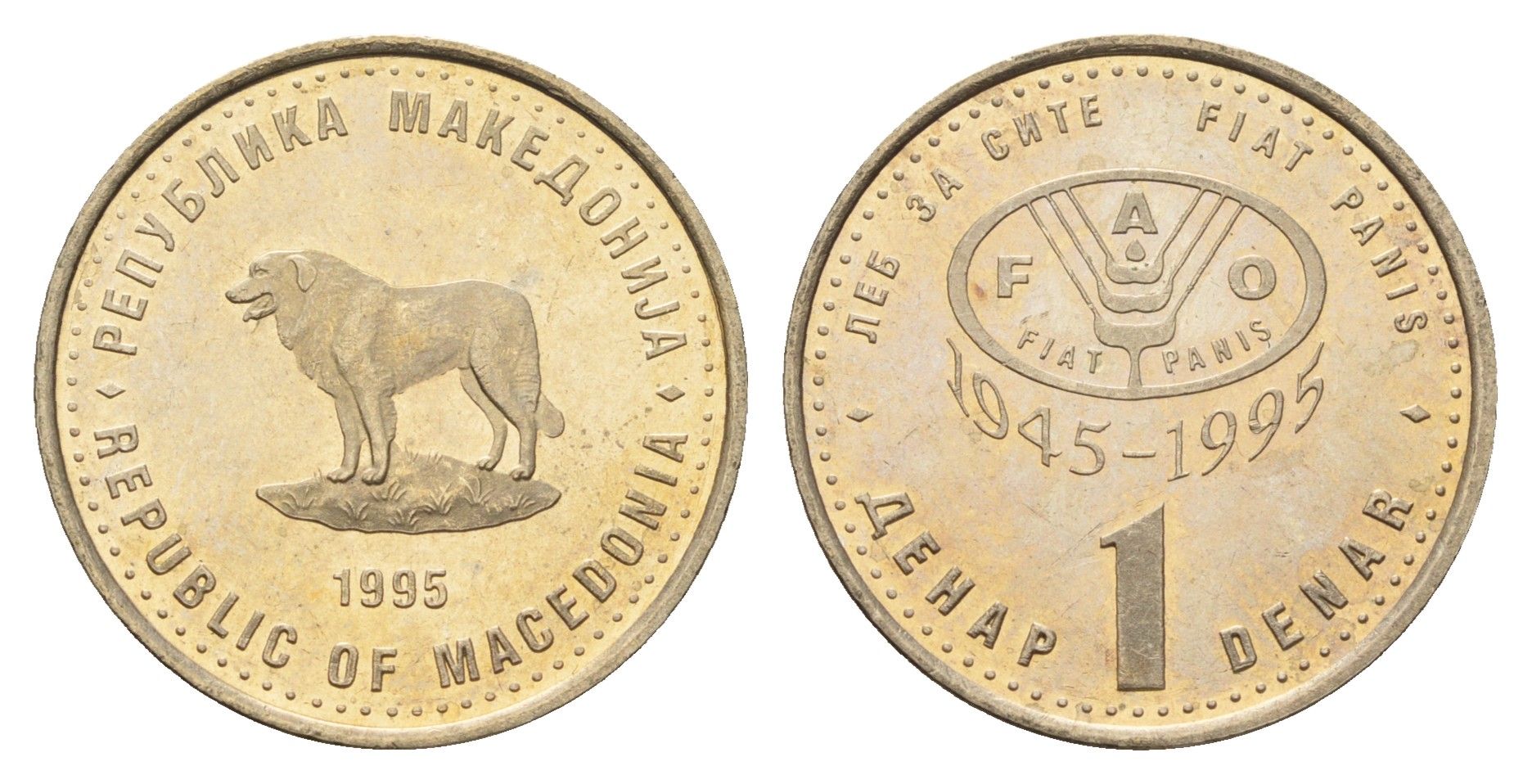 Македония 1 денар 1995 50 лет ФАО KM 5a медь цинк никель UNC 4688-733