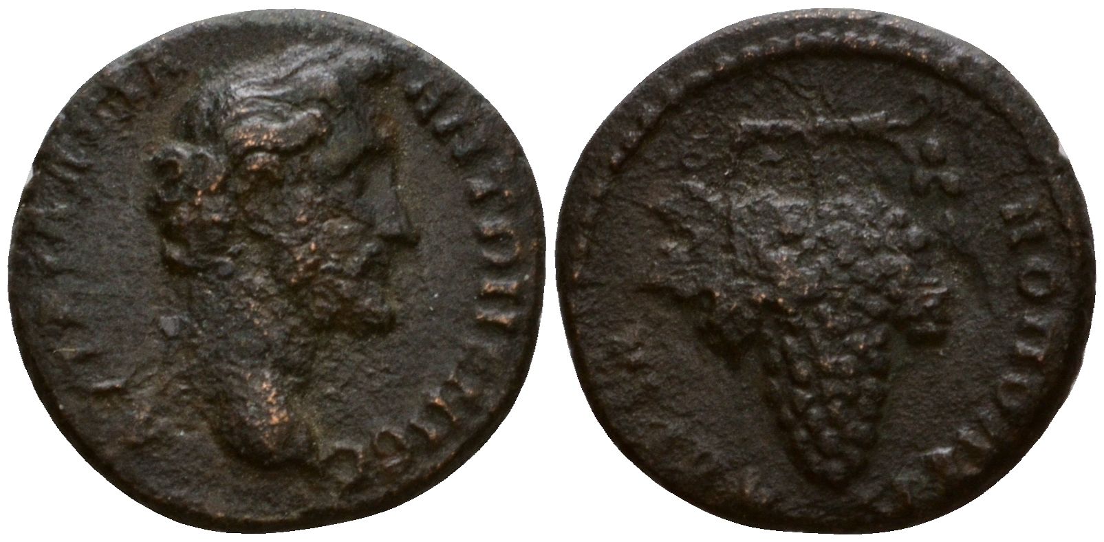 Римская Империя, Провинция Фракия, Адрианополь AE 138 - 161 Антонин Пий, бюст императора / виноградная гроздь RPC online IV.1 10529 бронза 1100-8-41