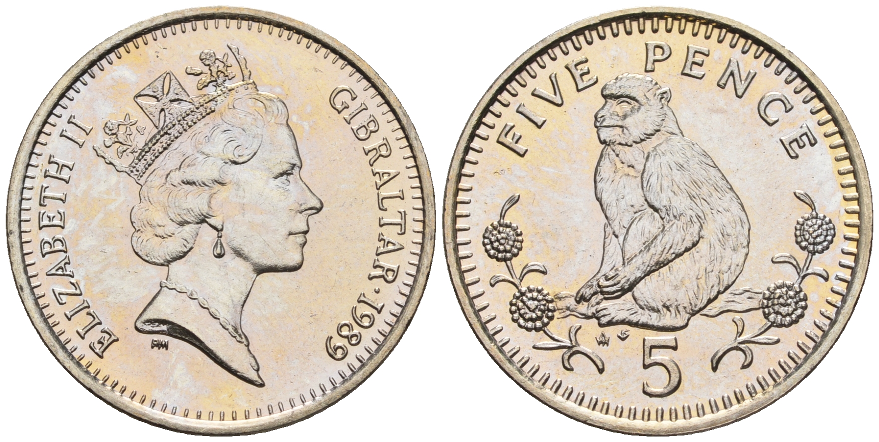 Гибралтар 5 пенсов 1989 АВ обезьяна KM 22 медно-никель UNC 87-533