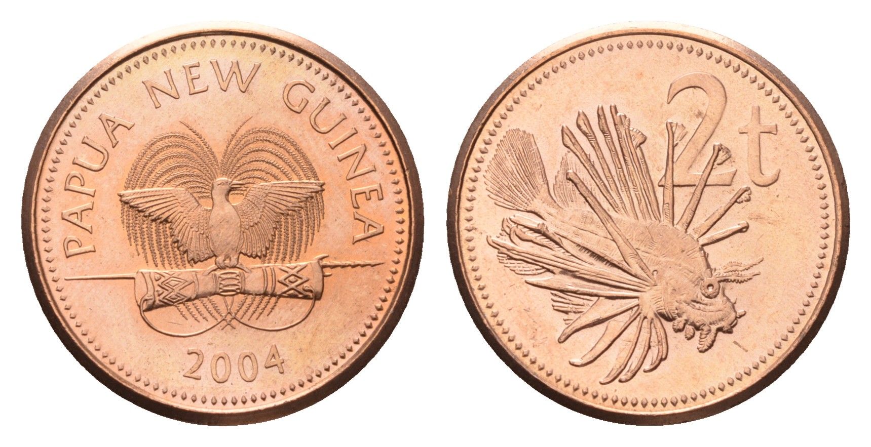 Папуа - Новая Гвинея 2 тойя 2004 KM 2 бронза UNC 4614-656