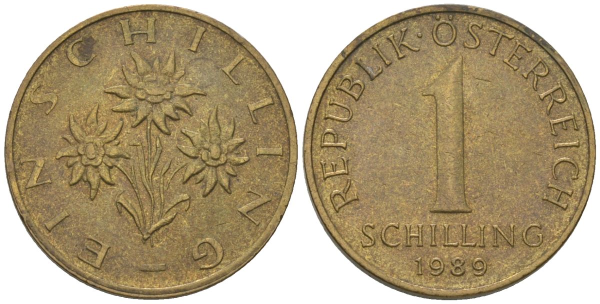 Австрия 1 шиллинг 1989 KM 2886 алюминиевая бронза 4594-312