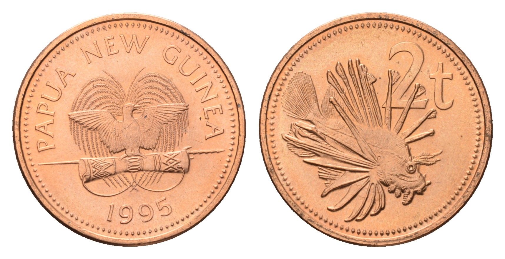Папуа - Новая Гвинея 2 тойя 1995 KM 2 бронза UNC 4614-667