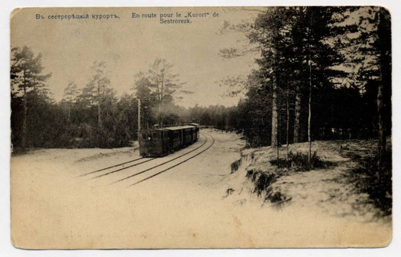 В СЕСТРОРЕЦКИЙ КУРОРТ ПАРОВОЗ В ЛЕСУ 1903 153-10-21