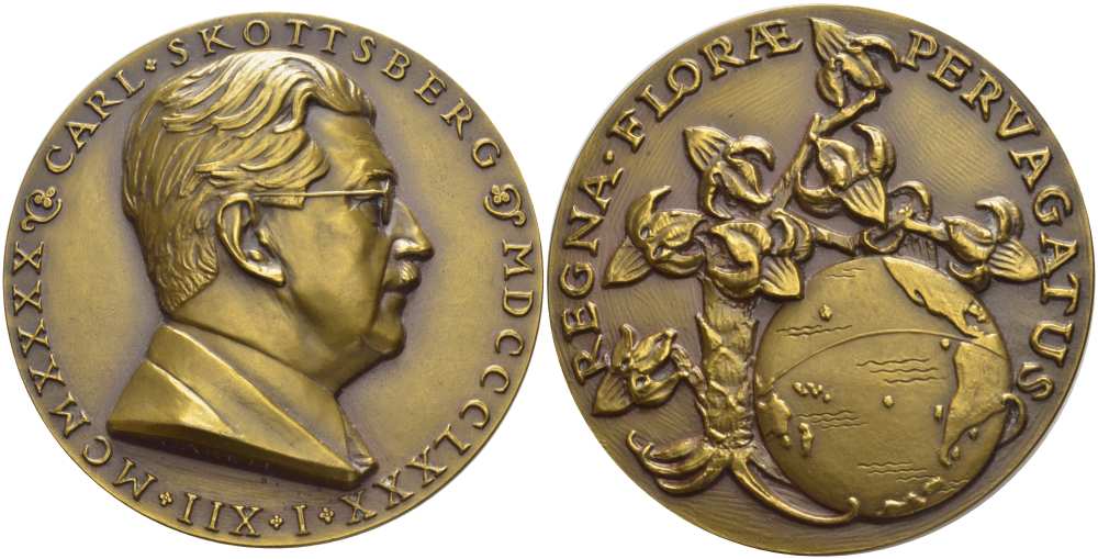 ШВЕЦИЯ МЕДАЛЬ 1963 КАРЛ ЮХАН ФРЕДРИК СКОТТСБЕРГ (1880-1963) ШВЕДСКИЙ БОТАНИК, ИССЛЕДОВАТЕЛЬ И МИКРОБИОЛОГ, ДИАМЕТР 65 ММ бронза 1084-1-31