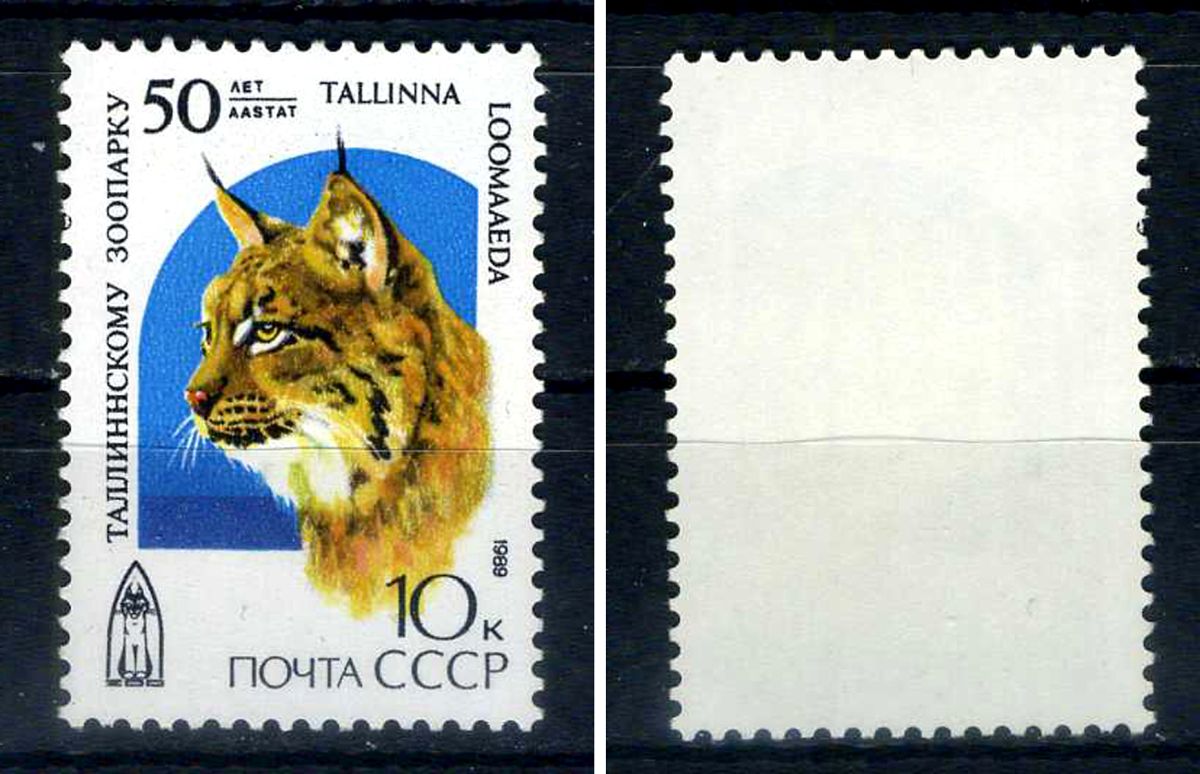 СССР марка 50 копеек 1989 50 лет Таллинскому зоопарку - рысь Загорский 6029    марка с оригинальным клеем, без следов наклейки (чистая) 8707-5-2-2