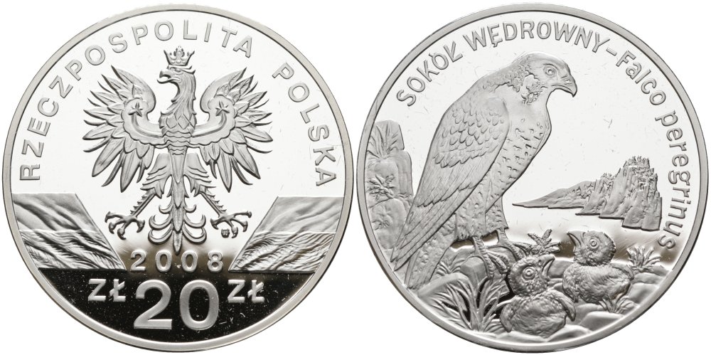 Польша 20 злотых 2008 серия всемирная природа, сапсан KM 637 серебро PROOF 01-150-13