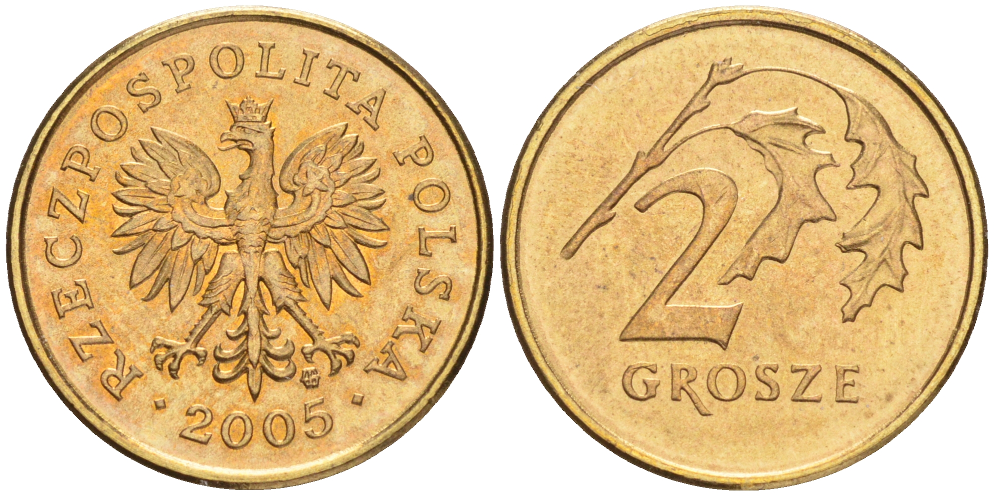 Польша 2 гроша 2006 MW KM 277, Parchimowicz 702m латунь 4516-1116