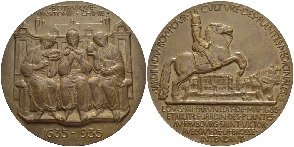 Франция медаль 1935 300 лет основанию Ги де ля Броссом (лейб-медиком Людовика XIII) в 1635 году ботанического сада в Париже, медальер H.Dropsy, диаметр 71,5 мм, бронза 3-5-2-18