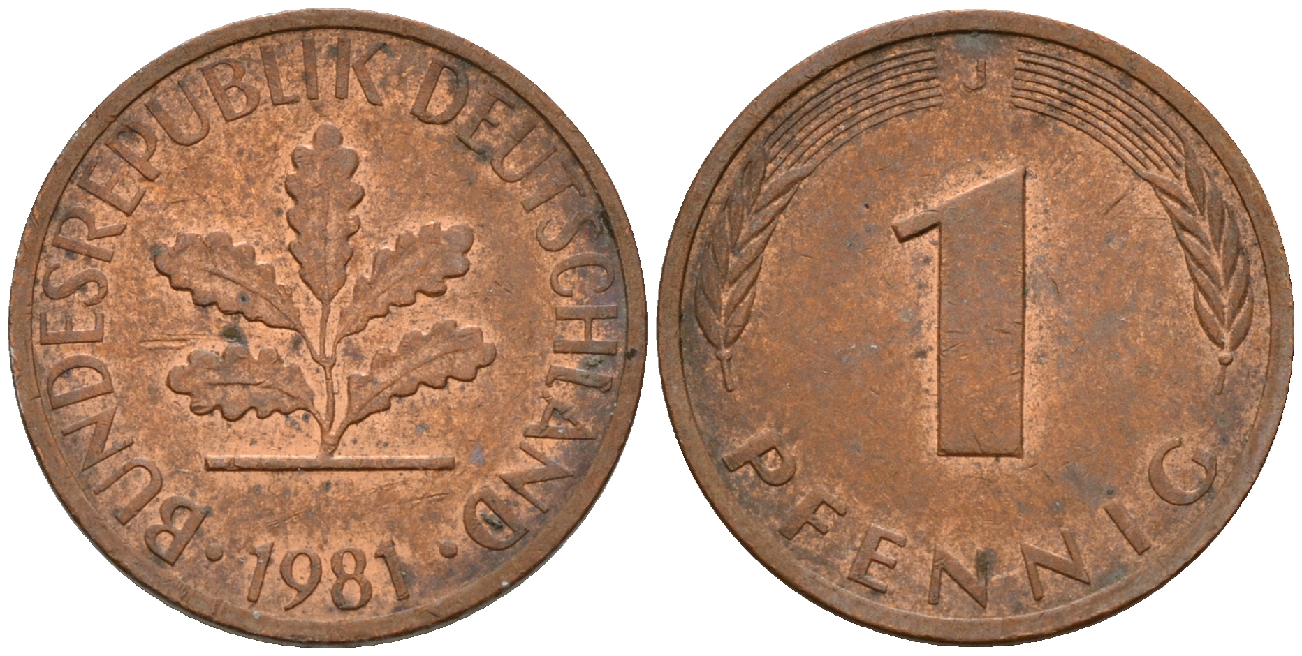 ФРГ 1 пфенниг 1981 J KM 105, J. 380 сталь плакированная медью    4598-619