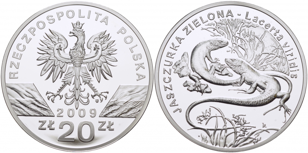 Польша 20 злотых 2009 серия сохраним наш мир, зеленая ящерица KM 679 серебро PROOF 1077-6-61