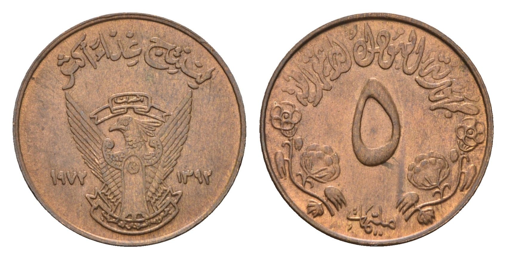 Судан 5 миллимов 1972 ФАО - Продовольственная программа KM 53 бронза aUNC 4679-613