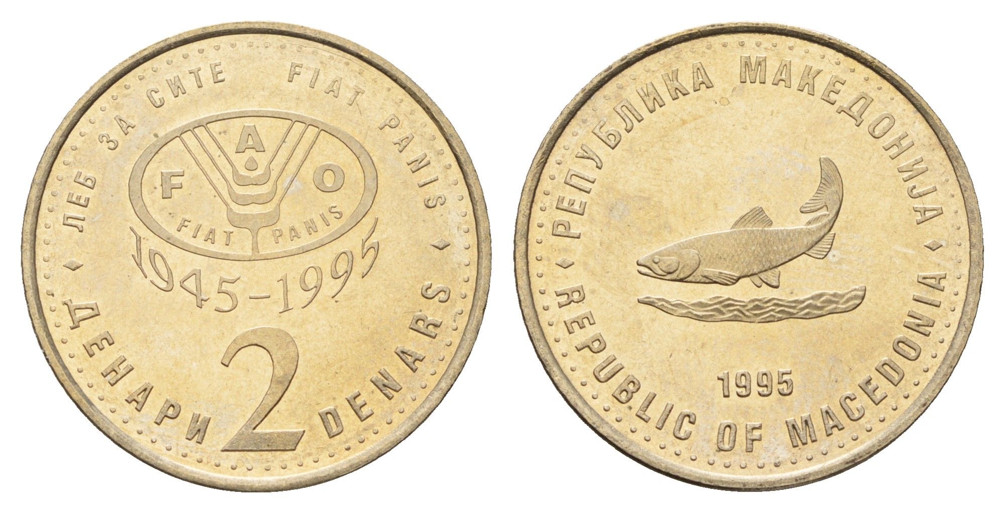 Македония 2 денара 1995 50 лет ФАО, серый цвет KM 6a медь цинк никель UNC 4699-137
