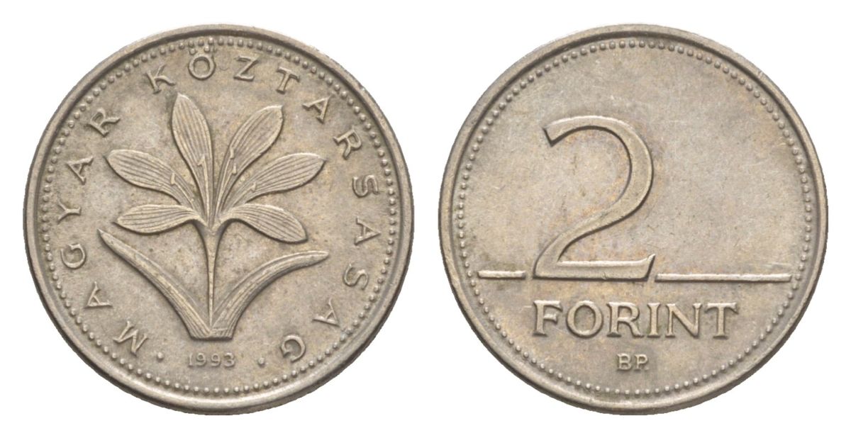 Венгрия 2 форинта 1993 KM 693 медно-никель 4632-359