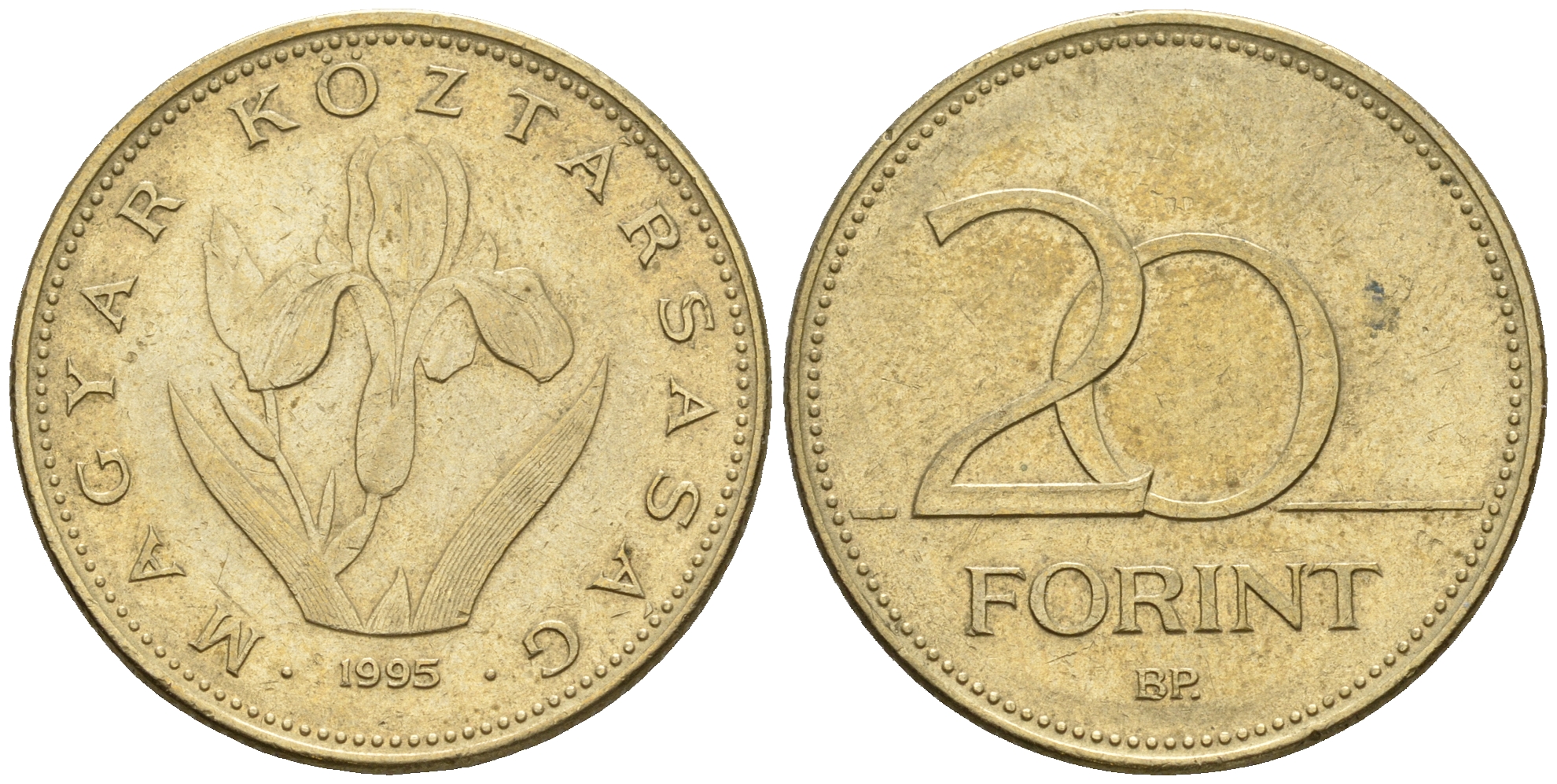 Венгрия 20 форинтов 1995 венгерский ирис KM 696 никель латунь 259-313