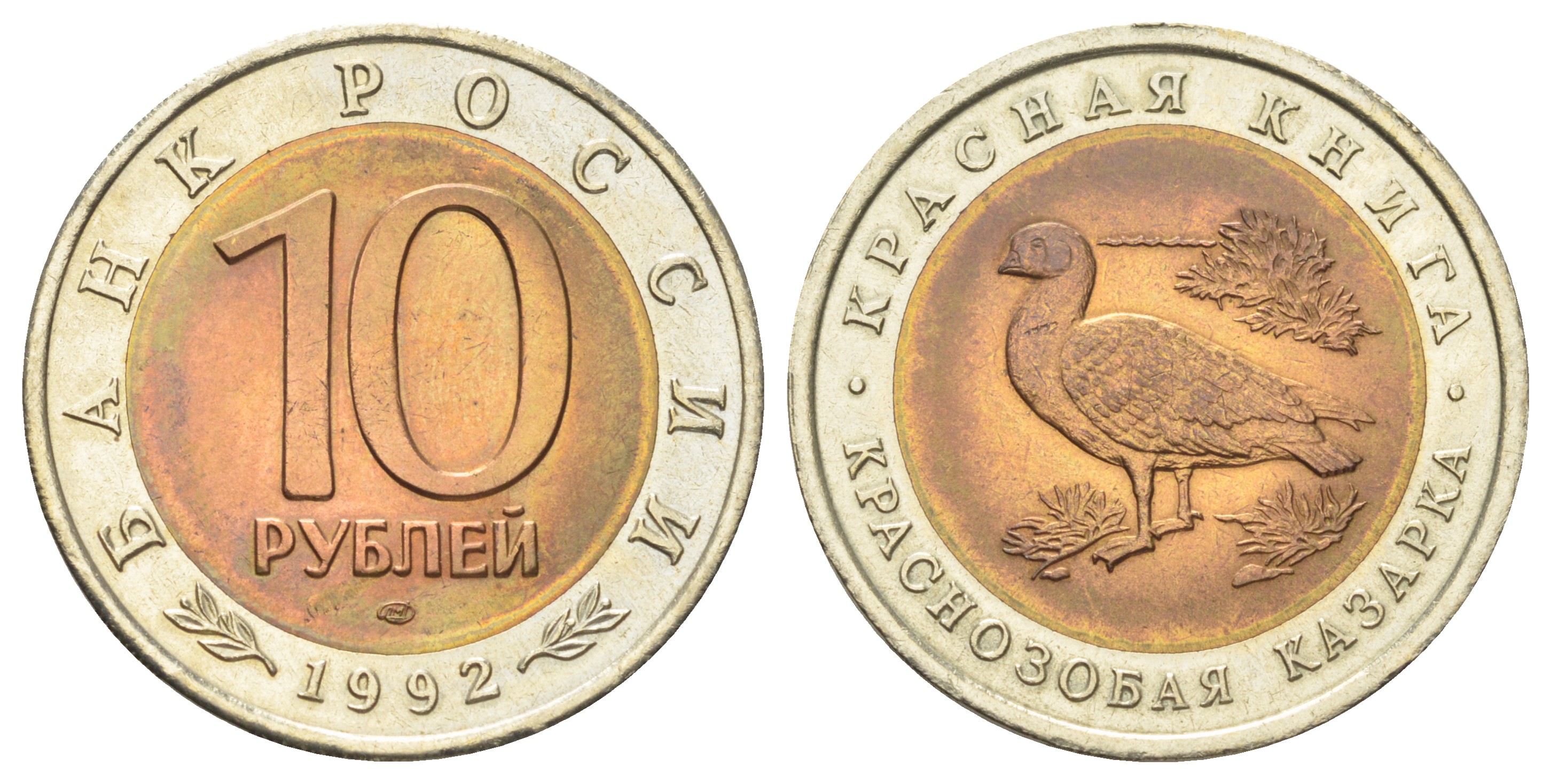 Россия 10 рублей 1992 Красная книга - Краснозобая казарка Y 307 биметалл UNC 63-914