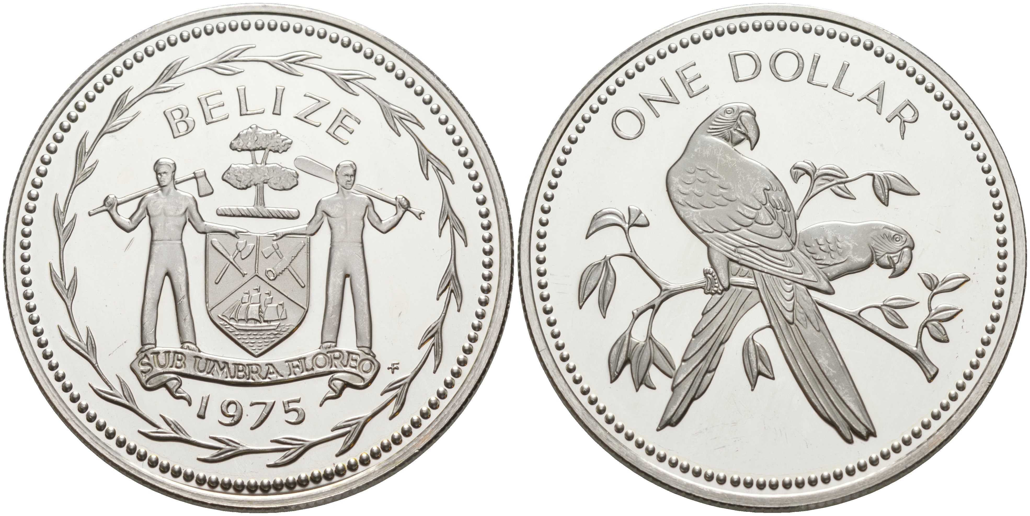 Белиз 1 доллар 1975 попугай Ара KM 43 медно-никель  PROOF  1091-1-21