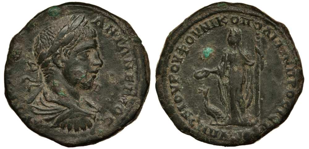 Римская Империя, Провинция Нижняя Мезия, Никополь-на-Истре пентассарий 218 - 222 Элагабал, бюст императора / Гера со скипетром и патерой, у ног павлин, 13,62 гр Varbanov 4030 медь 1073-7-55