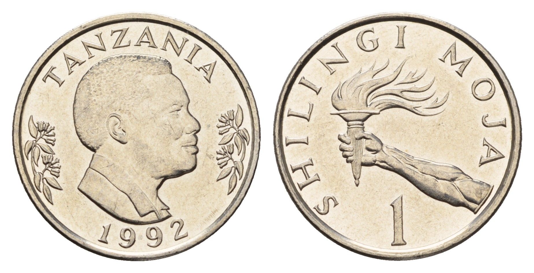 Танзания 1 шиллинг 1992 KM 22 сталь плакированная никелем UNC 4119-1124