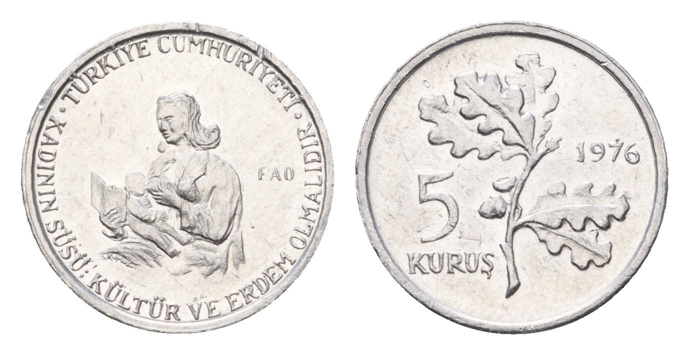 Турция 5 курушей 1976 ФАО - Образование для сельских женщин KM 907 алюминий UNC 45-1228