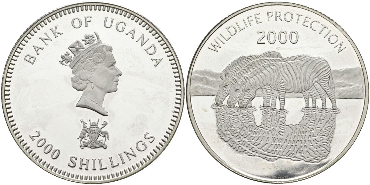 Уганда 2000 шиллингов 2000 серия защита дикой природы, зебры, тираж 5000 экз. KM 73 серебро PROOF 1098-3-12