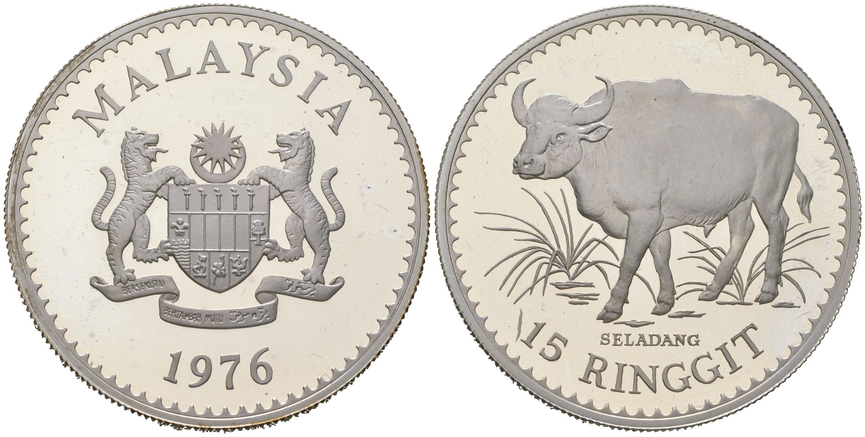 Малайзия 15 ринггит 1976 Охрана дикой природы - Малайзийский гаур KM 19 серебро PROOF 11-315-35