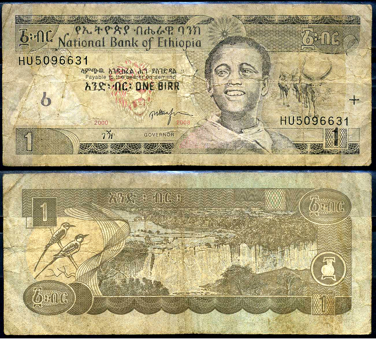 Эфиопия 1 быр ED 2000 AD 2008 Pick 46 e бумага 8592-8-3-1