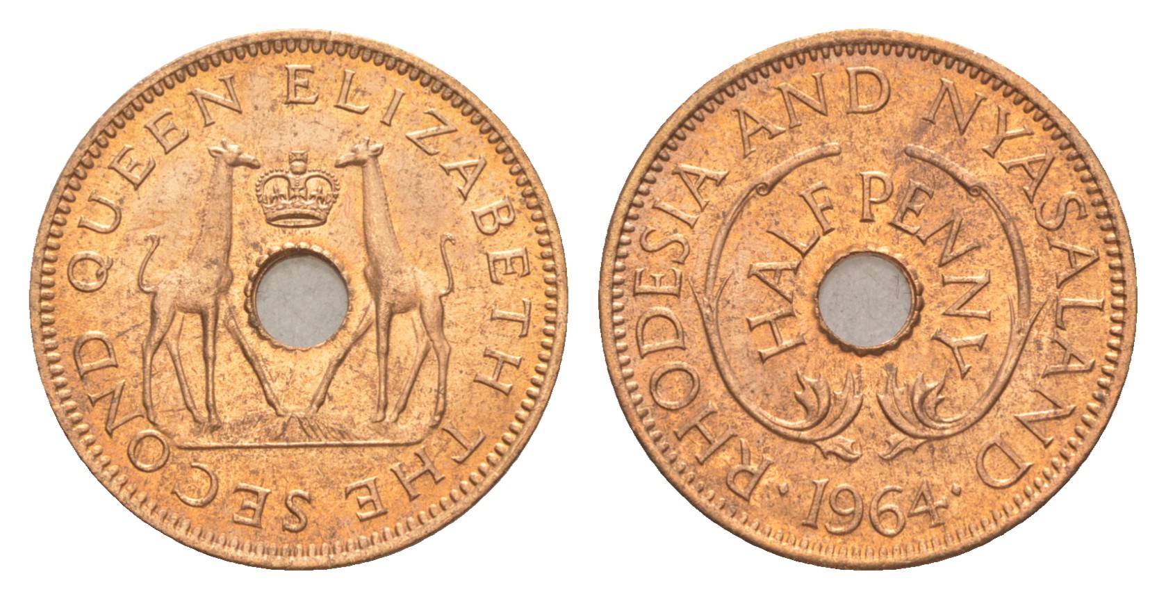 Родезия и Ньясаленд 1/2 пенса 1964 Елизавета II (1952-2022), жирафы KM  1 бронза  UNC  4640-911