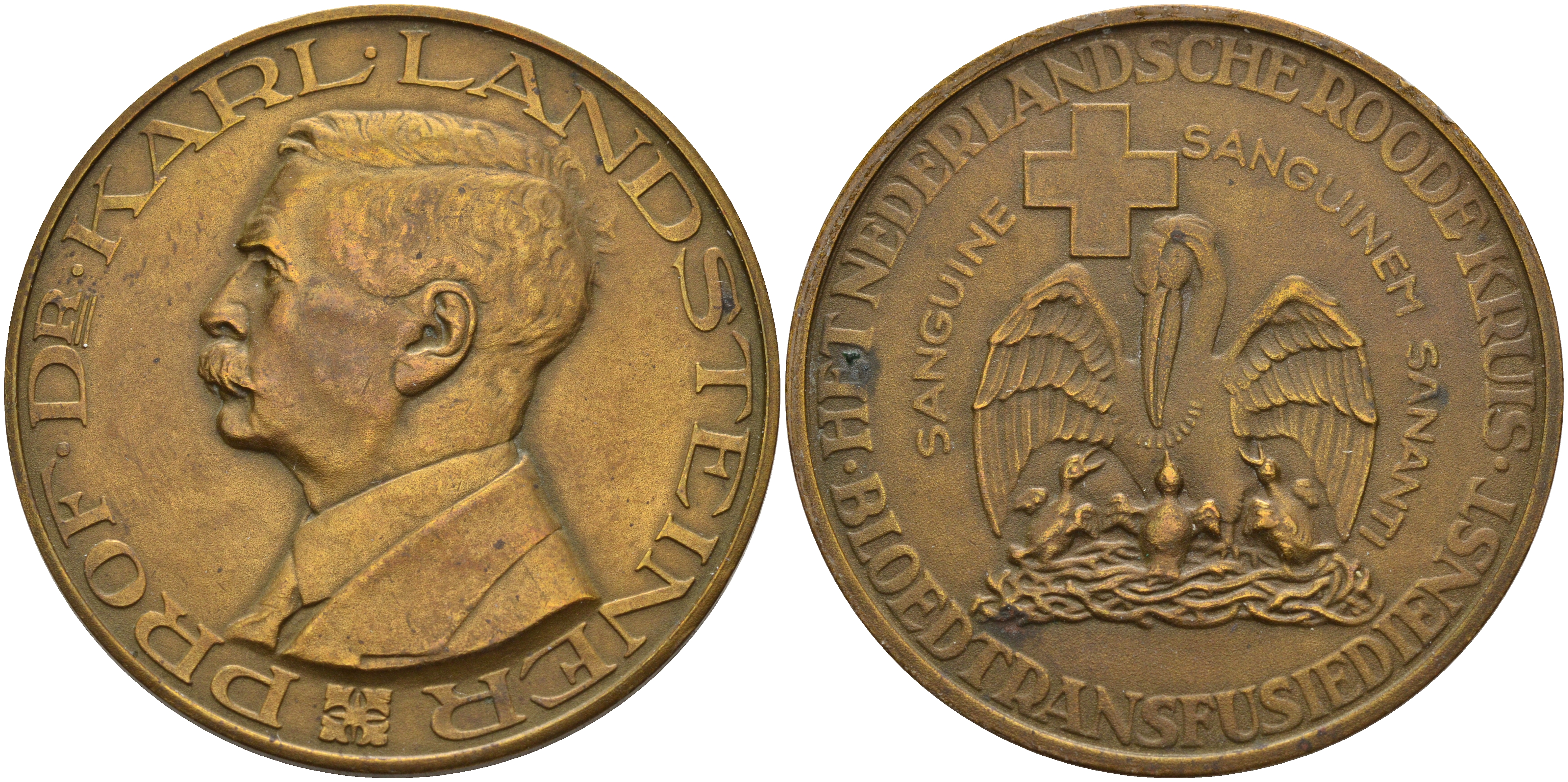 Нидерланды медаль ND профессор, доктор Карл Ландштейнер (1868-1943), лауреат Нобелевской премии, за открытие групп крови, нидерландское общество Красного креста, пеликан, диаметр 50 мм.  бронза    3897-911
