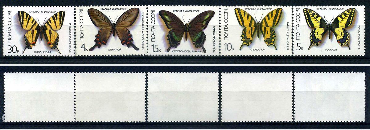 СССР набор из 5 марок (4, 5, 10, 15 и 30 копеек) 1987 Бабочки, внесенные в Красную книгу СССР - Алкиной, Махаон, Алексанор, Хвостоносец Маака, Подалирий Загорский 5730, 5731, 5732, 5733 и 5734    марка с оригинальным клеем, без следов наклейки (чистая) 87