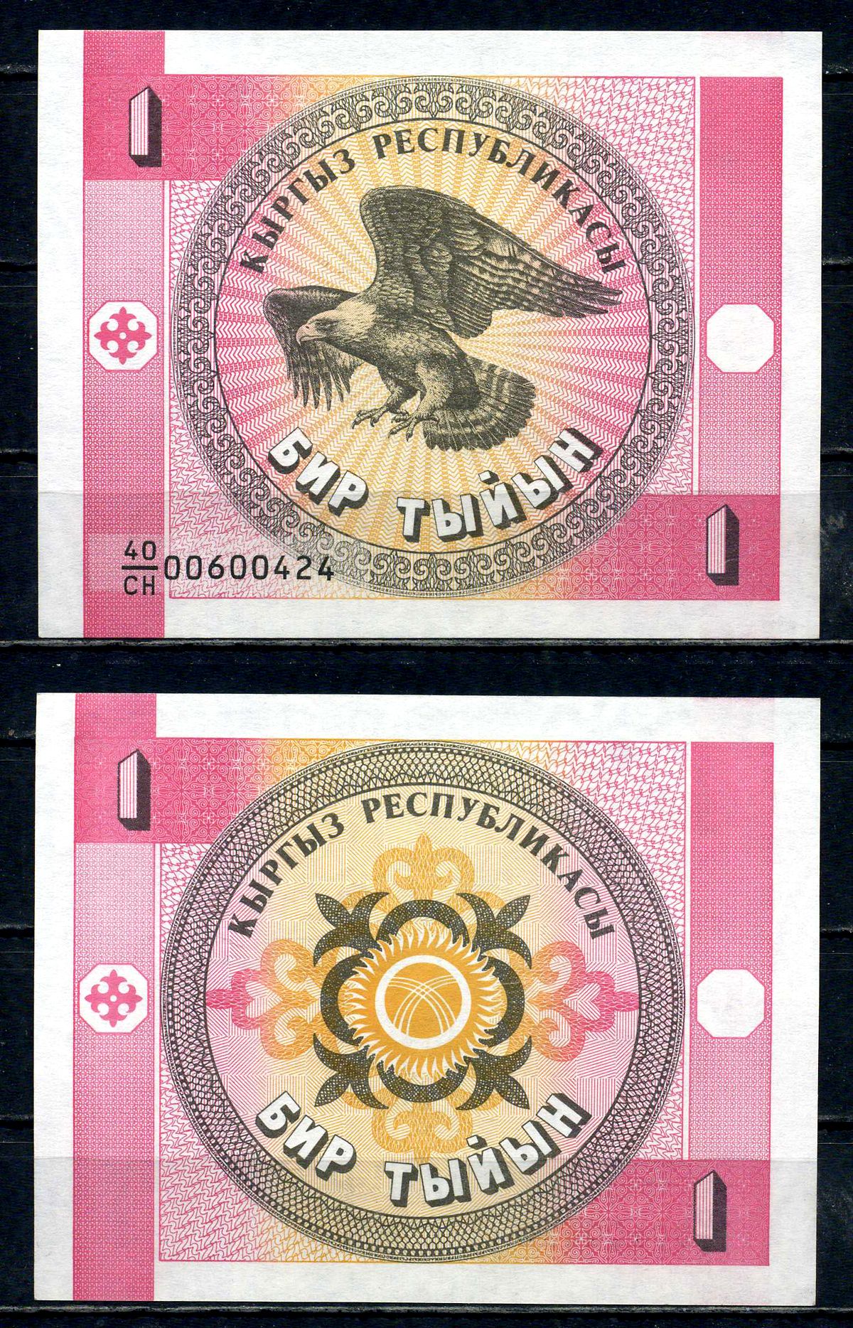 Киргизия 1 тиын ND (1993) Pick 1 a бумага 2192-48-3-2