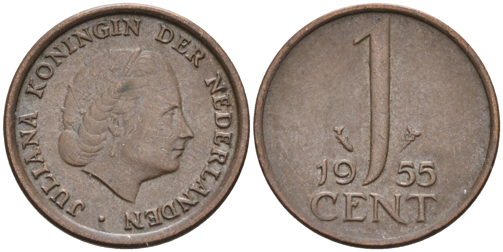 Нидерланды 1 цент 1955 Юлиана (1948-1980) КМ 180 бронза    4174-548