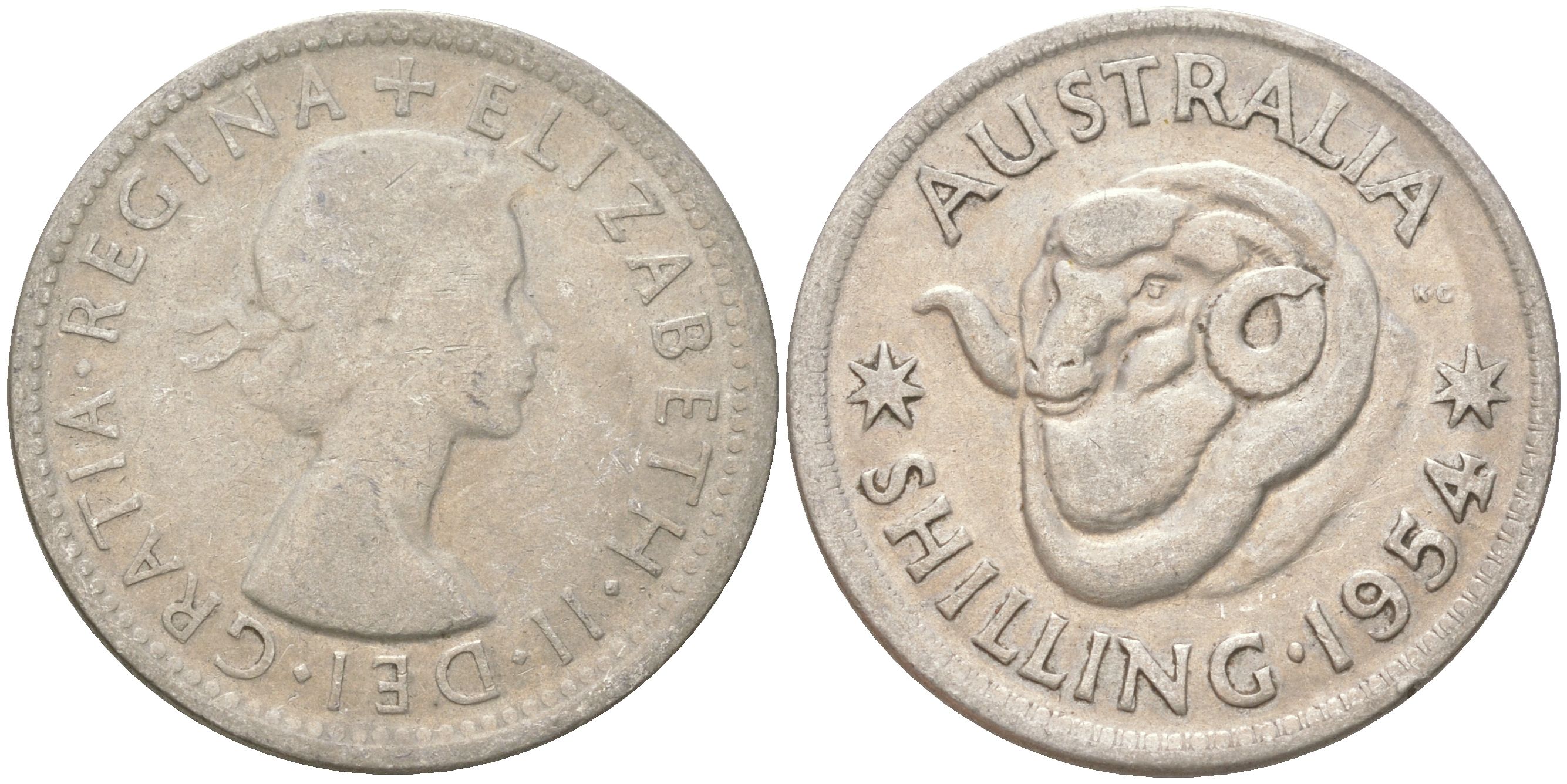 Австралия 1 шиллинг 1954 M, Елизавета II (1952-2022), овца меринос KM 53 серебро 4622-145