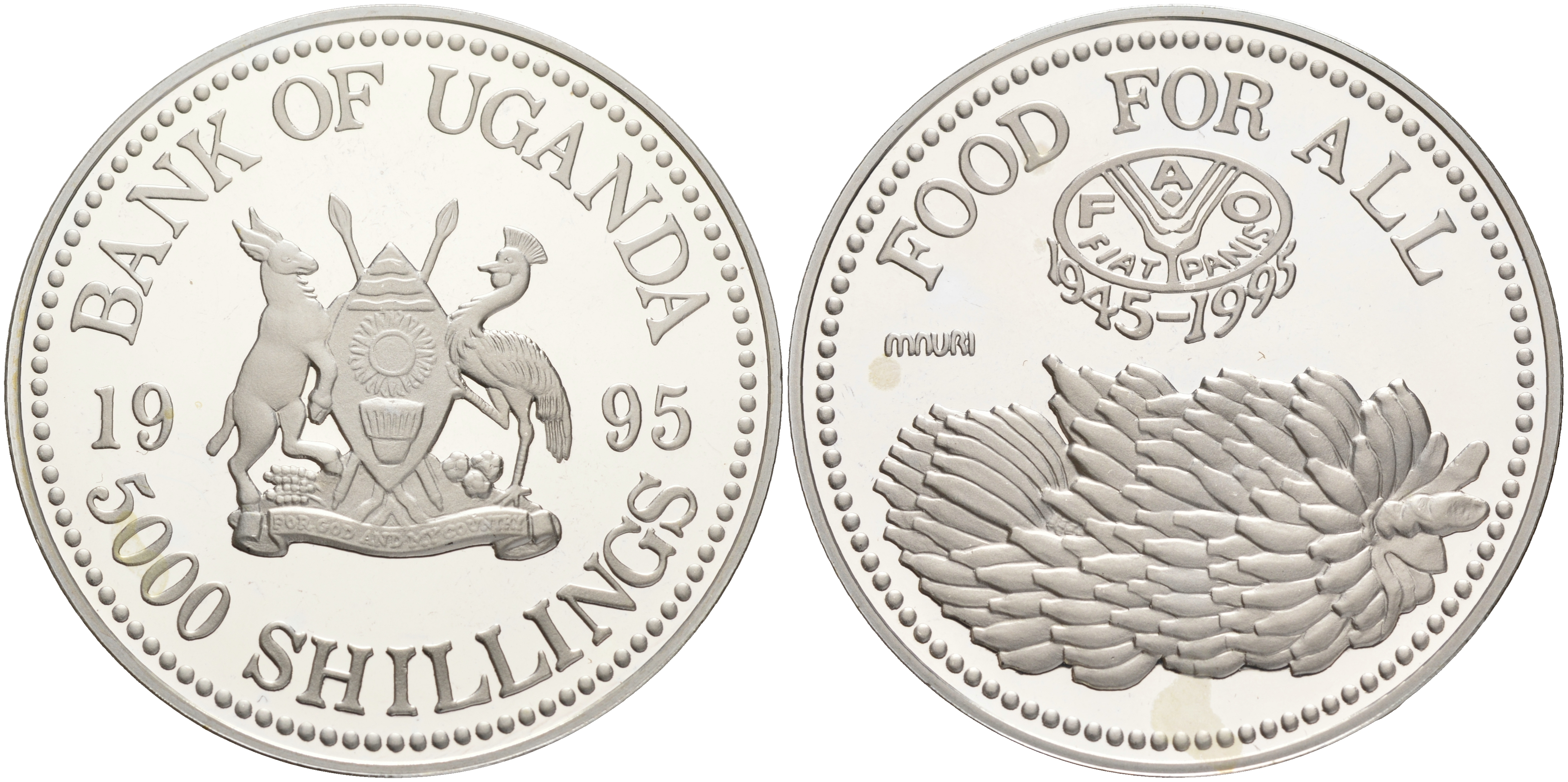 Уганда 5000 шиллингов 1995 50 лет FAO, гроздь бананов KM 128 серебро PROOF 02-263-45